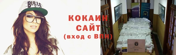 стаф Аркадак