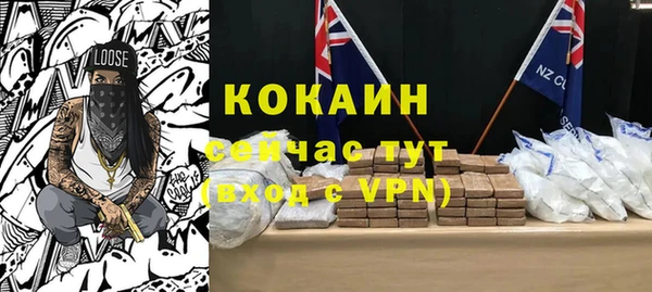 молекула духа Алексин