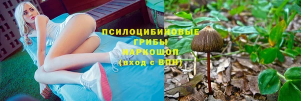 винт Алзамай
