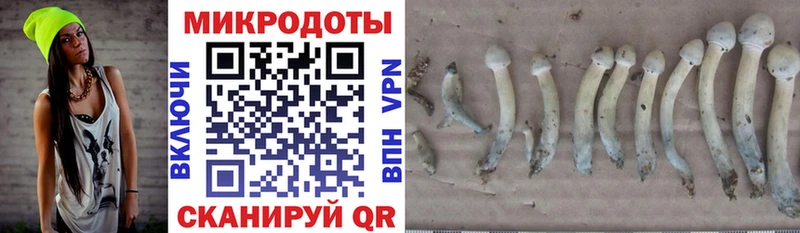 Галлюциногенные грибы мухоморы  Воронеж 